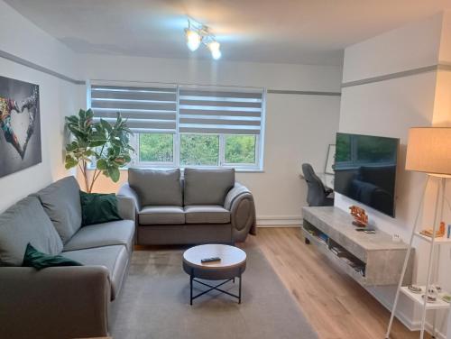 a living room with a couch and a tv at Oxfords 5 Star Lux 2 bedroom Flat near JR 5 pax, permit parking in Oxford