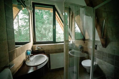 y baño con lavabo, aseo y ducha acristalada. en Pensiunea Smida Park, en Smida