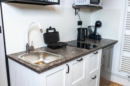a kitchen counter with a sink and a microwave at Apartmaji Lipa in Bohinj