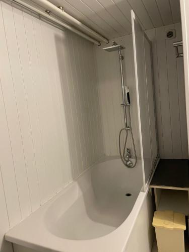 une baignoire blanche avec douche dans une salle de bain dans l'établissement Le Bibrou Appartement 2 chambres, à Heuringhem