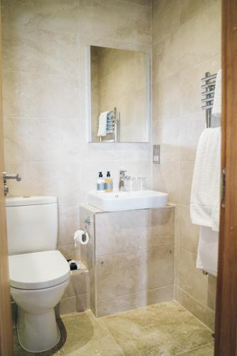 a bathroom with a toilet and a sink at The Manor Boutique Hotel Restaurant and Bar in Conwy