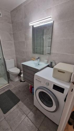une salle de bain avec une machine à laver et un lavabo dans l'établissement Charming new appartment near Geneva, à Ferney-Voltaire