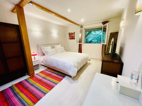 a bedroom with a white bed and a colorful rug at Appartement au calme avec terrasse verdoyante entre Annecy et Genève in Villy-le-Pelloux