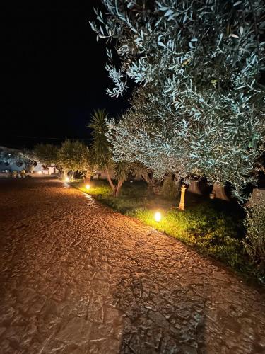 a street at night with trees and lights at Dimora Harmonia in Carini
