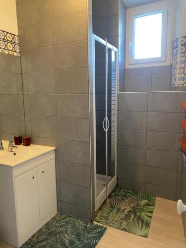 a bathroom with a shower and a sink at Les Sainfoins, Idéal voyageurs Pro in Villeneuve-sur-Yonne