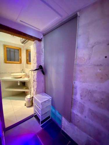 une salle de bain avec une pièce violette avec des toilettes dans l'établissement Le Nid Douillet au Pied des Remparts d'Avignon, à Avignon