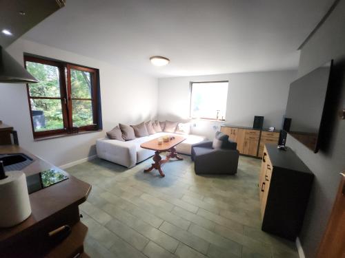 Wilcza Poręba Apartament