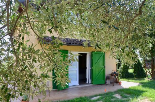 Zahrada ubytování B&B Ca' Viola