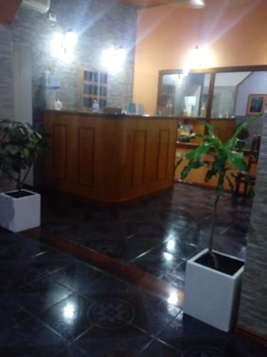 a room with two potted plants on the floor at Dennisse Hotel in Victoria