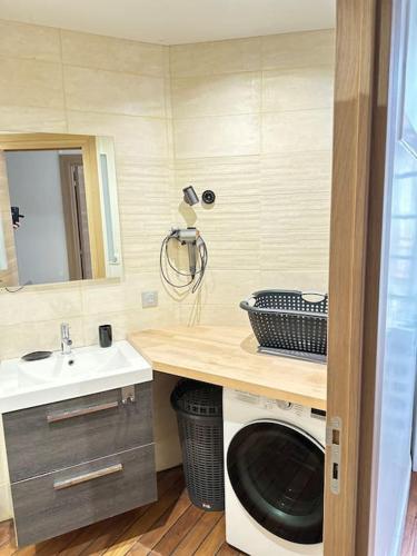 une salle de bain avec un lavabo et une machine à laver dans l'établissement Appartement au centre ville, à Salies-de-Béarn