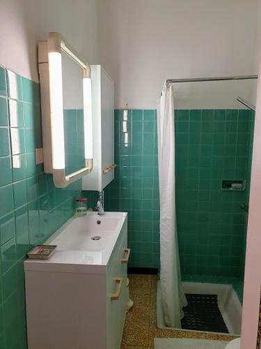 une salle de bain avec un lavabo et une douche dans l'établissement Agréable maison de ville, à Thuir