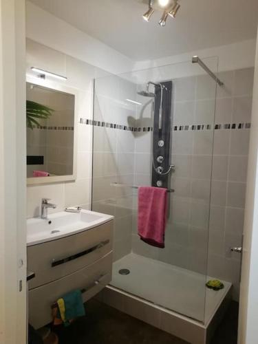 une salle de bain avec un lavabo et une douche avec un lavabo dans l'établissement Superb flat in a residence Collines d'Estanove, à Montpellier
