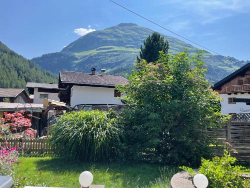 a house with a mountain in the background at Buck Chalet in Steeg