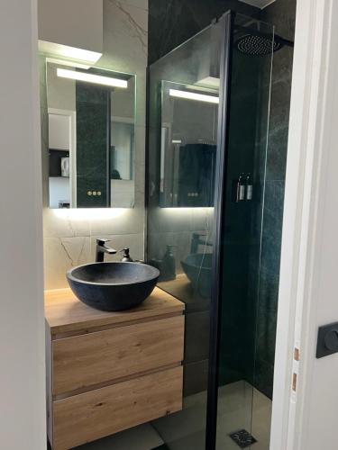 Un baño con lavabo y ducha de cristal. en Charmant appartement Joinvillais, en Joinville-le-Pont