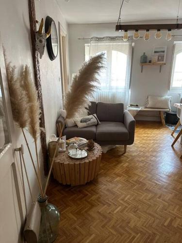 un salon avec un canapé et une table basse dans l'établissement Appartement Carmes, hypercentre, à Toulouse