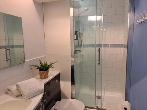 a bathroom with a shower and a toilet and a sink at The Quaint Old Shop in Tewkesbury
