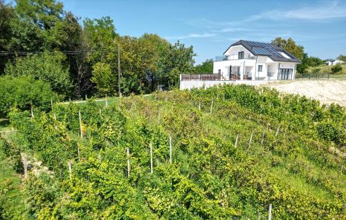 a house on a hill with a field of crops at Cozy Home In Gornja Stubica With Sauna in Gornja Stubica