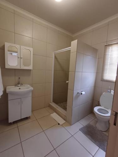 a bathroom with a shower and a toilet and a sink at Augrabies De Oude Stoor Guesthouse in Augrabies