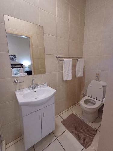 a bathroom with a toilet and a sink and a mirror at Augrabies De Oude Stoor Guesthouse in Augrabies