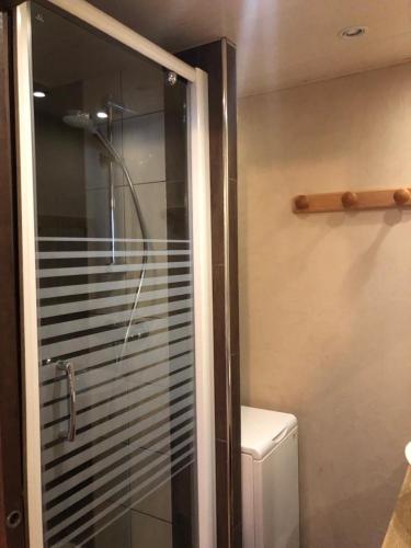 a glass shower in a bathroom with a toilet at Studio Avalon I in Ribeauvillé
