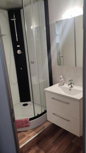 a bathroom with a shower and a sink and a mirror at Pension Fischer in Plauen