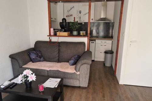 Η κουζίνα ή μικρή κουζίνα στο Joli T2 vue sur le jardin proche de Toulouse