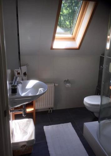 a bathroom with a sink and a toilet and a window at Wendrik Hoeve Bed & Stables in Emst