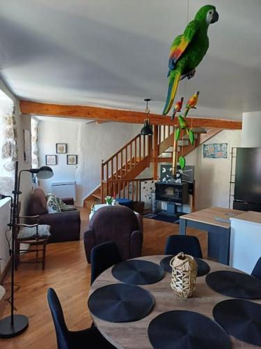 un perroquet survole un salon dans l'établissement Duplex 85m2 au coeur de la nature à Montpezat-sous-Bauzon, à Montpezat-sous-Bauzon