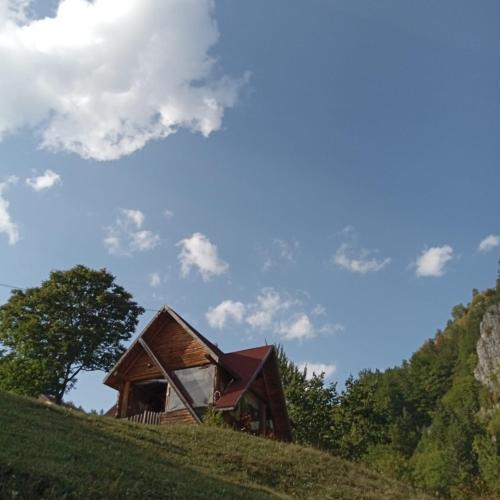 a house on top of a grassy hill at Casa Sara in Dîmbovicioara
