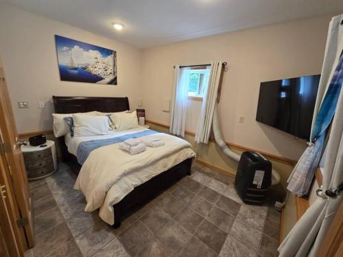 a bedroom with a bed and a flat screen tv at Peaceful Apartment in Traverse City