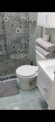 a bathroom with a white toilet and a shower at Apartamento de lujo en Valencia 2 in Valencia