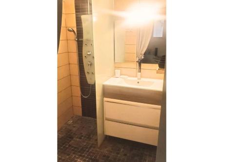 a bathroom with a sink and a shower with a mirror at L'Emeraude in Saint-Pierre