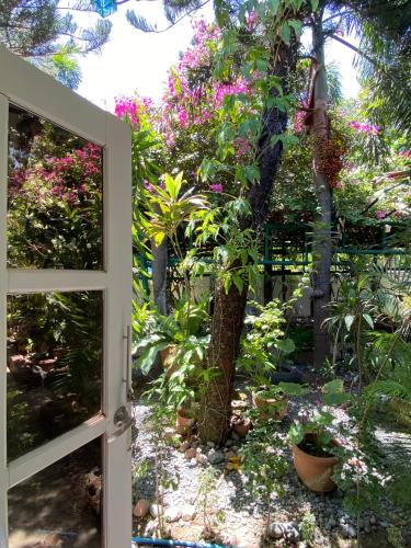 Taman di luar Olana Bed and Breakfast