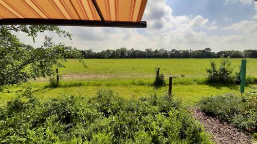 an open field with a large green field with trees at BIESBOSCHBEST in Werkendam