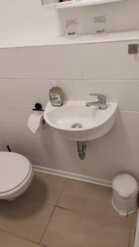 a bathroom with a white sink and a toilet at Zur Schlinge in Siebenhitz