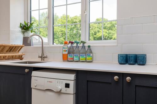 a kitchen with a sink and a counter with bottles of cleaner at Well-equipped Apartment at Westerlands Farm in Graffham