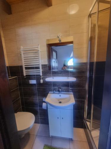a bathroom with a sink and a toilet and a mirror at Dworek Mieldziczowka in Supraśl