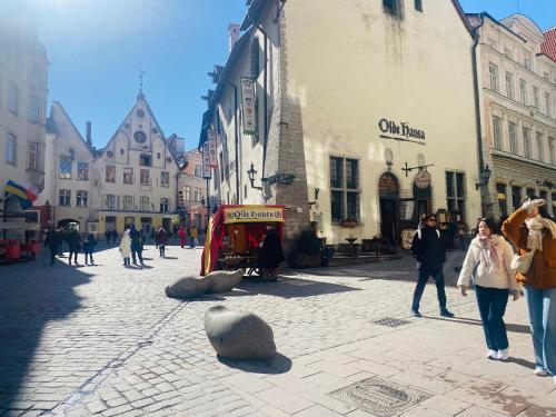 a group of people walking on a street in a city at Oldtown apartment next of Town hall square in Kesklinn