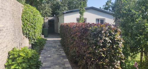 Κήπος έξω από το Vakantiebungalow Texel