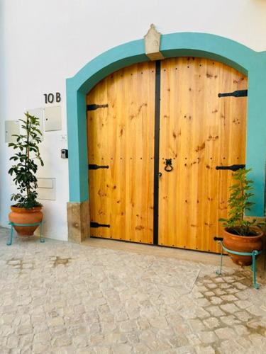 a wooden door with two potted plants in front of it at Adega dos Moinhos in Pereiro