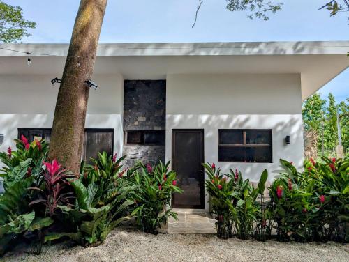 Fotografie z fotogalerie ubytování Hotel Bosques de Pinilla v destinaci San José Pinilla