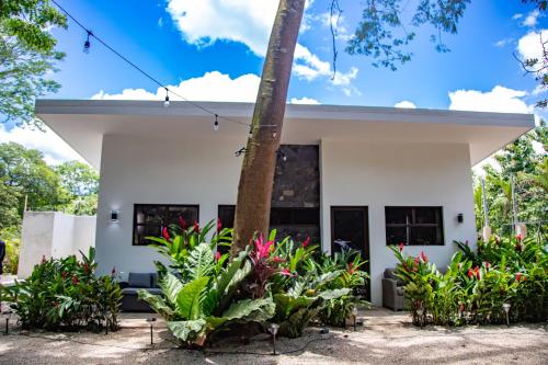 Fotografie z fotogalerie ubytování Hotel Bosques de Pinilla v destinaci San José Pinilla
