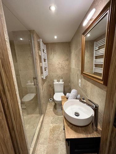 une salle de bain avec un lavabo, une douche et des toilettes dans l'établissement Gite ALSACE SELESTAT, à Sélestat