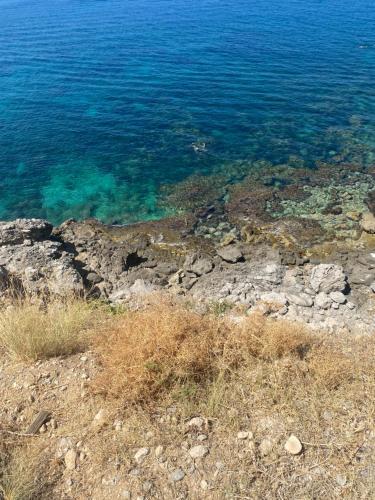 Φυσικό τοπίο κοντά σε αυτό το διαμέρισμα