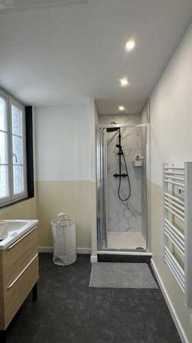 une salle de bain avec douche et lavabo dans l'établissement Appartement Cosy Clinique Mathilde, à Rouen