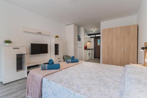 Luxury Studio Quasar Sea View in Olimpia