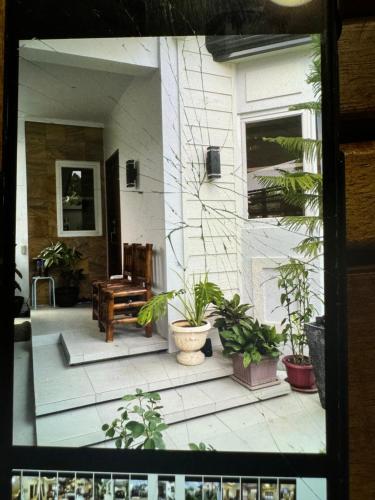 Taman di luar Rafania