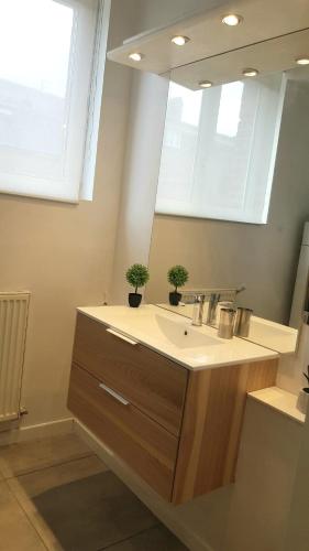 une salle de bain avec un lavabo et un miroir dans l'établissement Le RUBIS - 2 Chambres - Centre ville, à Amiens