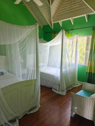a bedroom with two beds and a green wall at Villa Ananda Tobago in Patience Hill