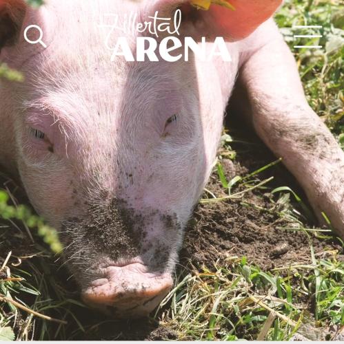 a pig laying on the ground in the grass at Apart Hanna in Hainzenberg